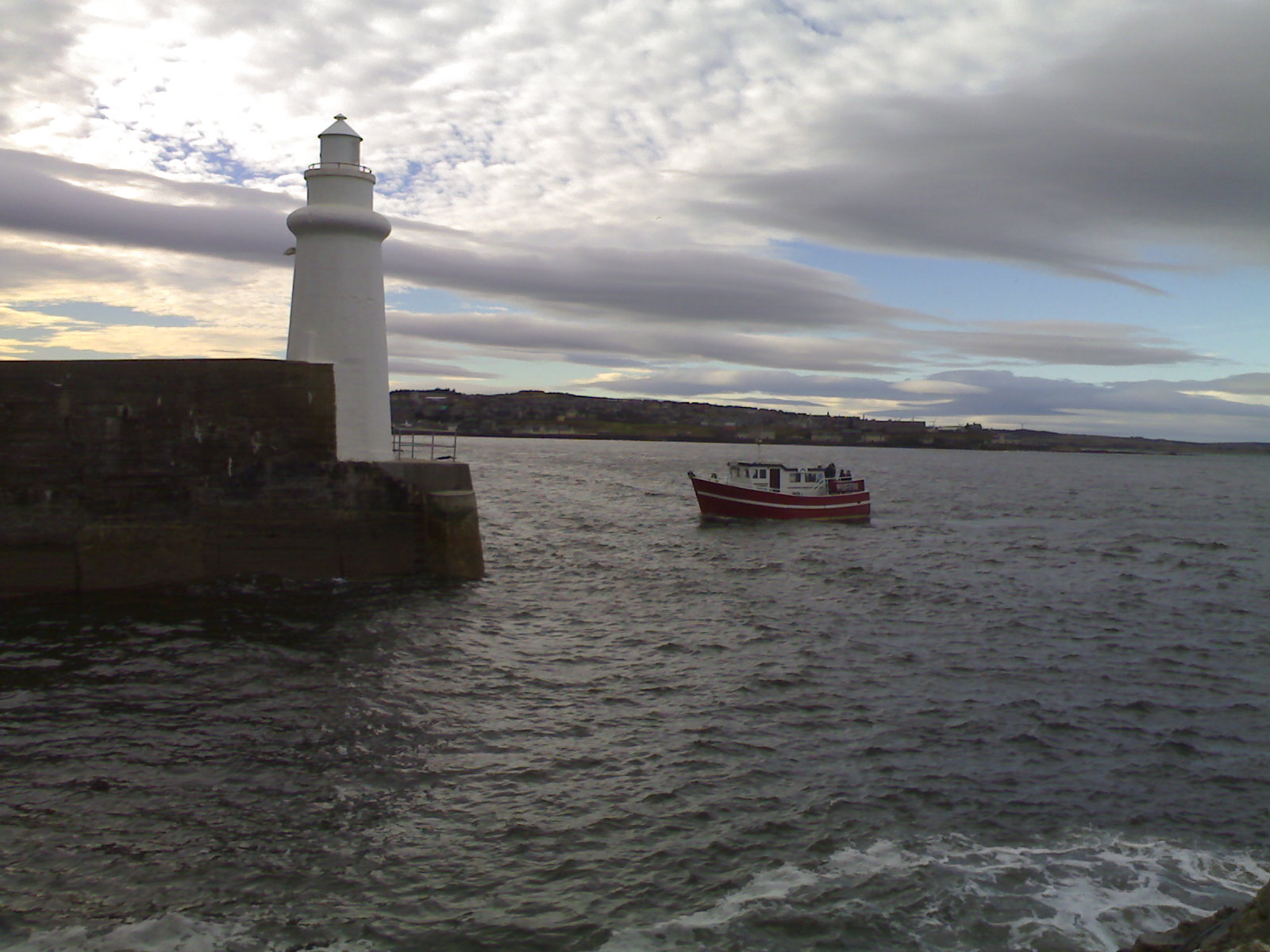 puffin macduff
